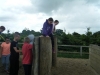 Year 6 Residential (102)